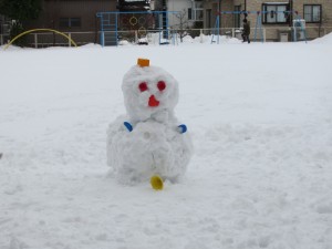 IMG_2550